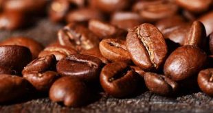 Indonesia Arabica Coffee Beans