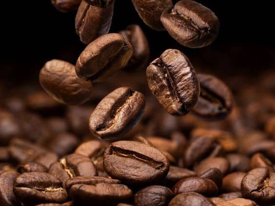 gayo coffee