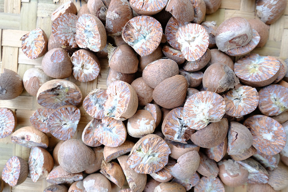 Split Betel Nut